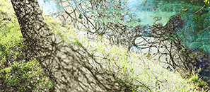 The silence of parallel worlds